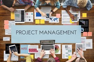 Why do I need a Project Manager?